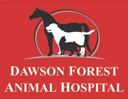 dawson forest animal hospital|dawson forest animal hospital reviews.